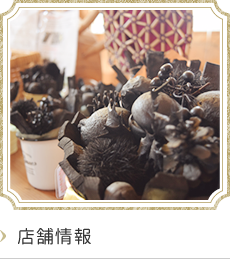 店舗情報