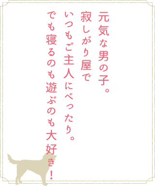 元気な男の子