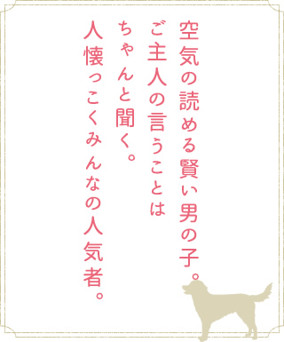 空気の読める賢い女の子