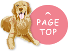 pagetop